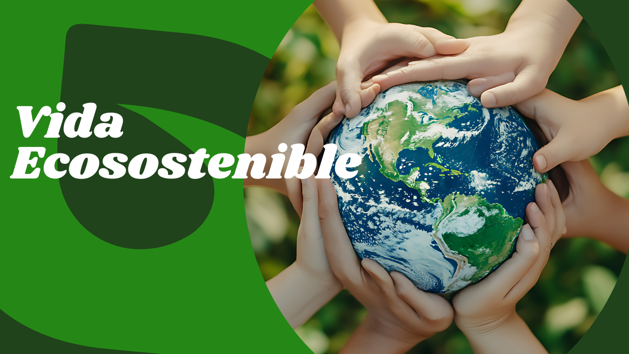 Vida Ecosostenible VE-ASO-001